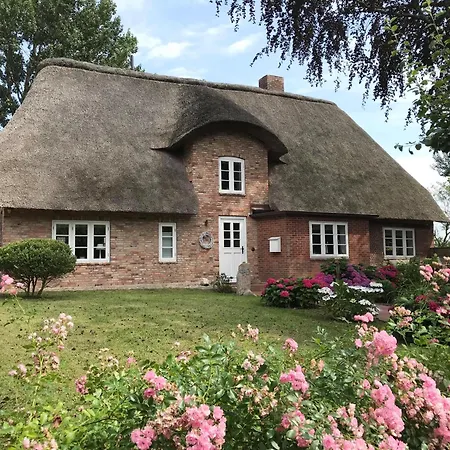 Wattluett Oevenum